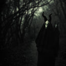 White Ward "Futility Report" CD