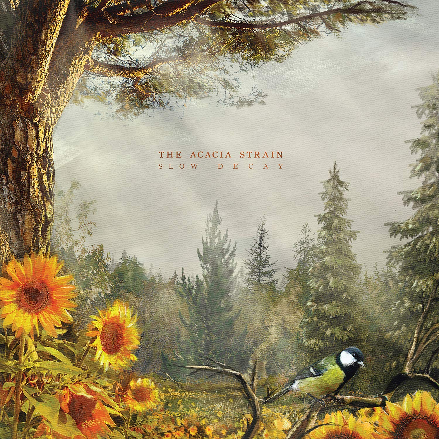 The Acacia Strain 