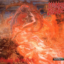 Morbid Angel "Blessed Are The Sick" CD