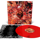 FesterDecay "From Demo To Rot" 12"