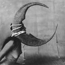Ghost Bath "Moonlover" CD
