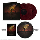 God Is An Astronaut "Embers" 2x12"