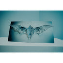 Unprocessed "Angel" 2x12"