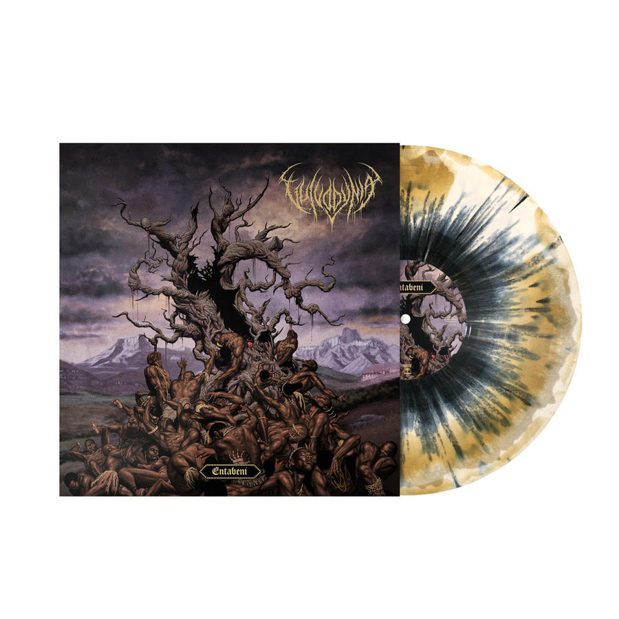 Lp Vulvodynia Entabeni Monochrome デスコア Vulvodynia 