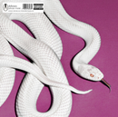 Deftones "Private Music" 12"