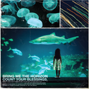 Bring Me The Horizon "Count Your Blessings" 12"
