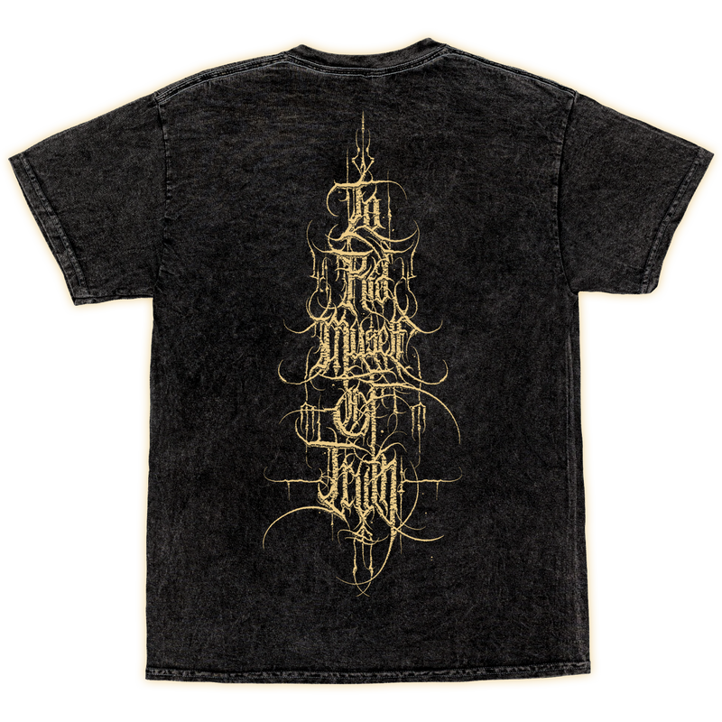 Signs of the Swarm "'To Rid Myself of Truth' Vintage Style/Mineral Wash" T-Shirt