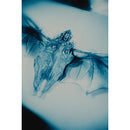 Unprocessed "Angel" 2x12"