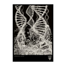 Coroner "Dissonance Theory" Poster