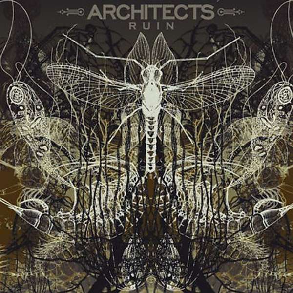Architects "Ruin" Limited Edition 12"