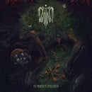 Domhain "In Perfect Stillness" Limited Edition CD