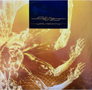 Tool "Fear Inoculum" 3x12"
