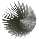 Throw Down Bones "Throw Down Bones - Three - 180g Ultra-Clear Vinyl LP" 12"