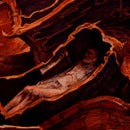 Dan Seagrave "Limited Edition. Tracing the Disease" Giclees