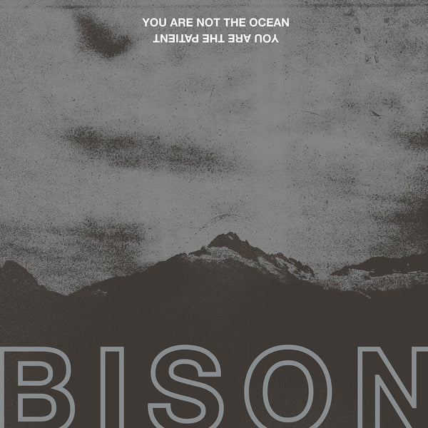 Bison "You Are Not The Ocean You Are The Patient" 12"