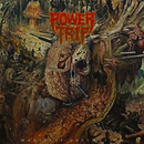 power trip "Manifest Decimation" CD