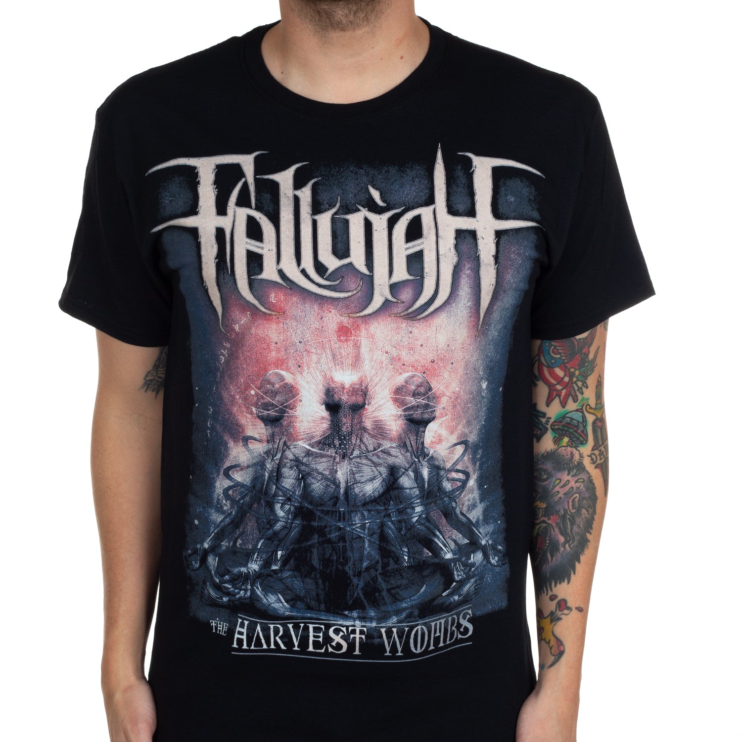 Fallujah 