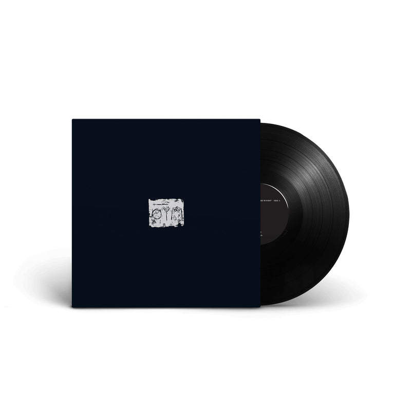 A Swarm Of The Sun "The Woods (gatefold)" 12"