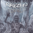 Frozen Soul "Encased In Ice" 12"