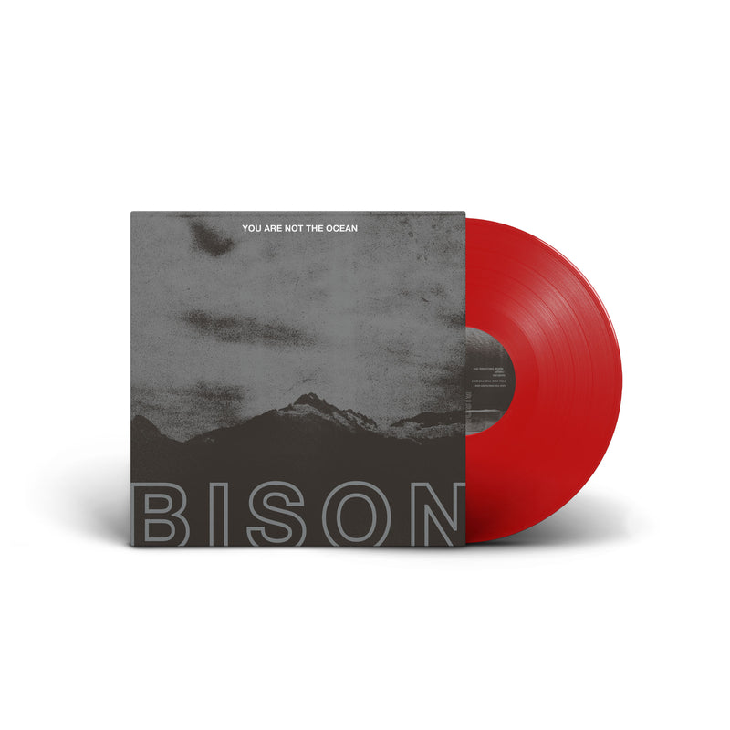 Bison "You Are Not The Ocean You Are The Patient" 12"