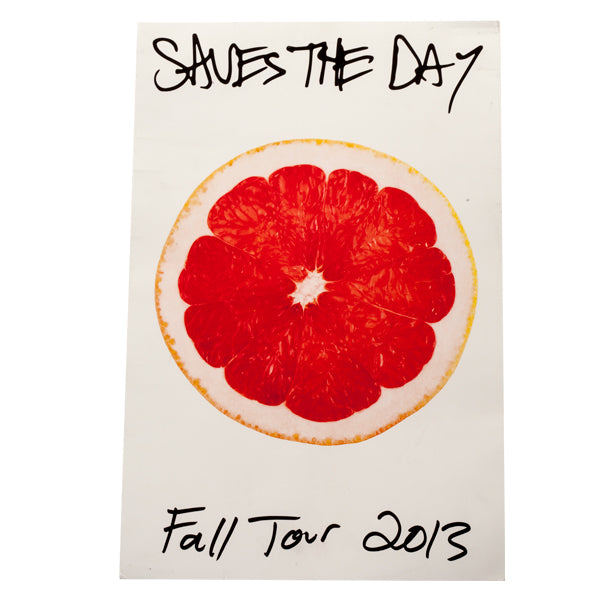 Saves The Day "2013 Fall Tour" Posters