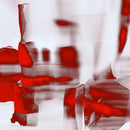 FERN "Intersubjective" 12"