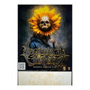 Beneath The Hollow "Misery Loves You CD Bundle" Bundle