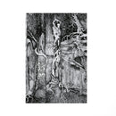 Thou Shell Of Death "Witchery (Digibook)" CD