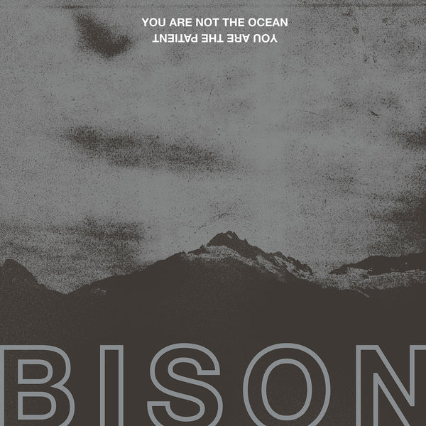 Bison "You Are Not The Ocean You Are The Patient" Digipack CD