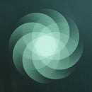 SOM "The Shape of Everything" 12"