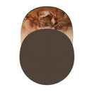 Disentomb "Broken" Hat