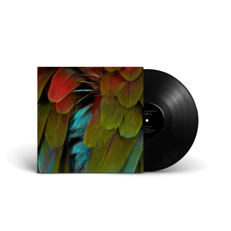 NYOS "Celebration" 12"