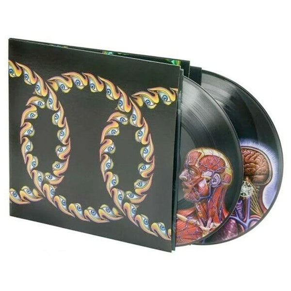 Tool "Lateralus" 2x12"