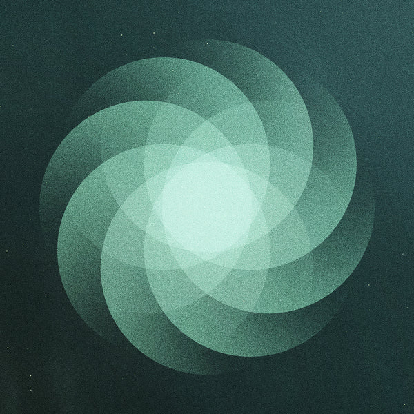 SOM "The Shape of Everything" CD